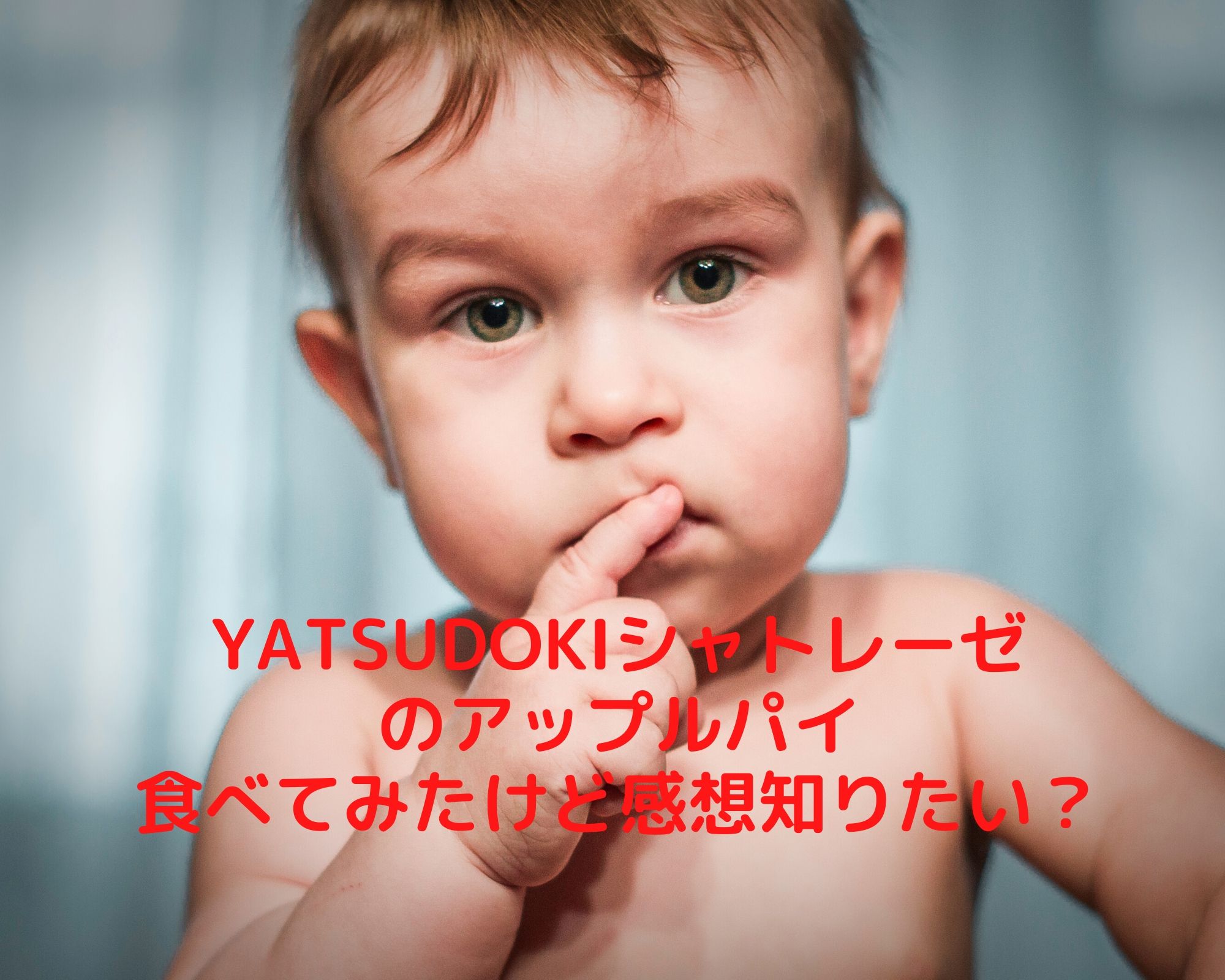 YATSUDOKIシャトレーゼアップルパイ